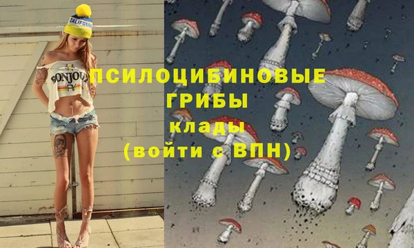 a pvp Сатка
